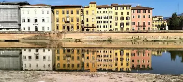 La Magnolia Apartment Pisa